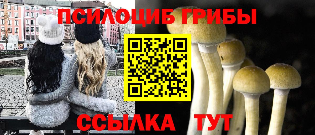 Среднеуральск  Галлюциногенные грибы прущие грибы  Вход с VPN 