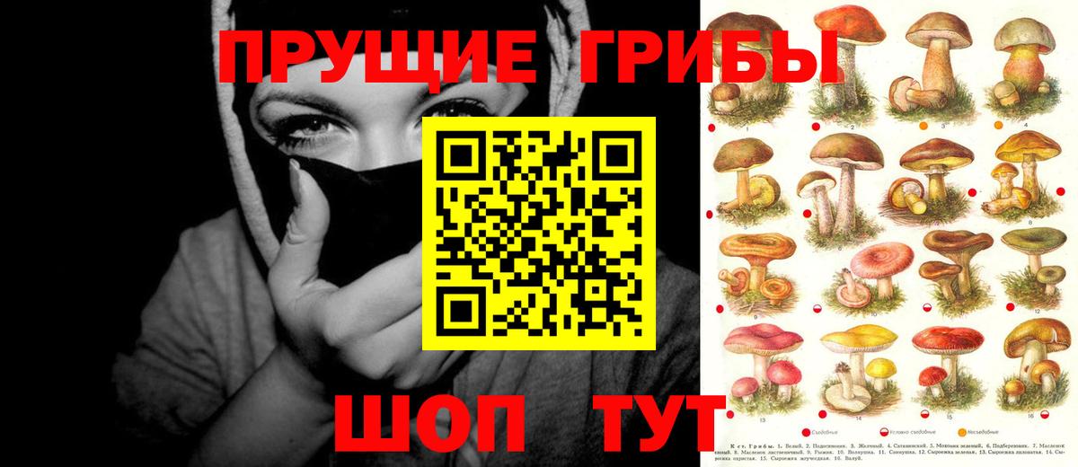 Галлюциногенные грибы мицелий Среднеуральск